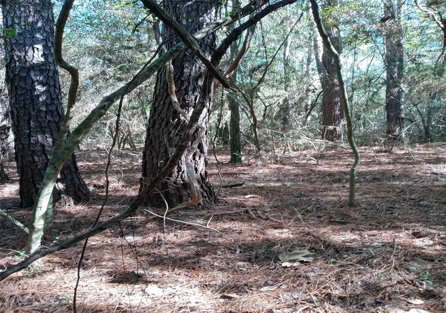 Photo 4 of Land for sale at 24282 Marshburn Dr, Hockley, TX 77447 | MLS# 21323513 | Listing updated on 2026-09-29