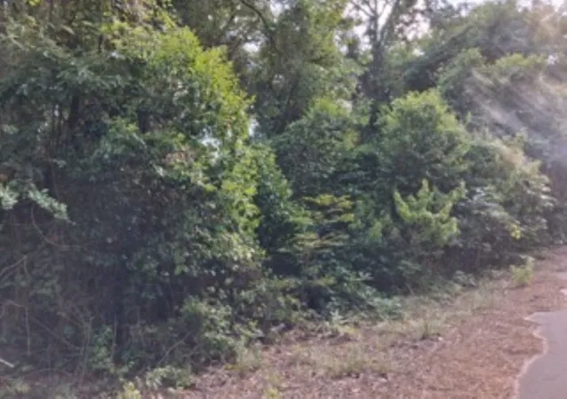 Photo 3 of Land for sale at Tbd Chapparal Run, Murchison, TX 75778 | MLS# 21322941 | Listing updated on 2026-07-08