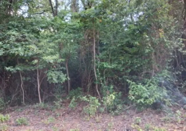 Photo 4 of Land for sale at Tbd Chapparal Run, Murchison, TX 75778 | MLS# 21322941 | Listing updated on 2026-07-08