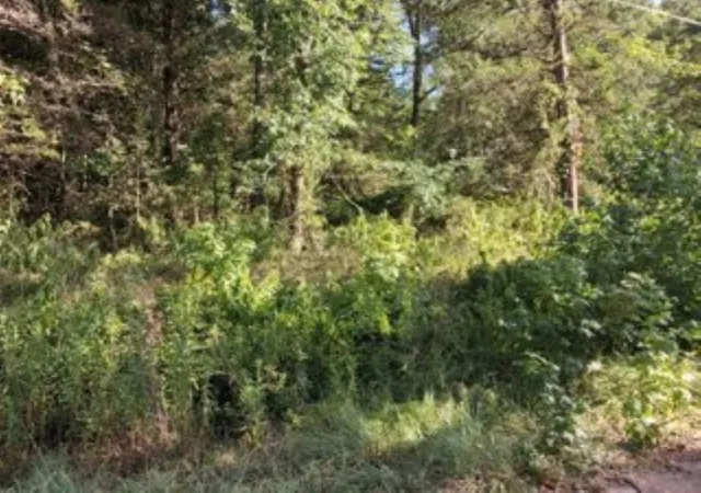 Photo 1 of Land for sale at 000 Dogwood Dr, Murchison, TX 75778 | MLS# 21323087 | Listing updated on 2026-07-08