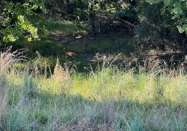 Photo 1 of Land for sale at 159 Fairway Dr, Nocona, TX 76255 | MLS# 21324122 | Listing updated on 2026-07-08