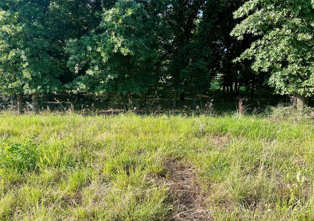 Photo 2 of Land for sale at 159 Fairway Dr, Nocona, TX 76255 | MLS# 21324122 | Listing updated on 2026-07-08