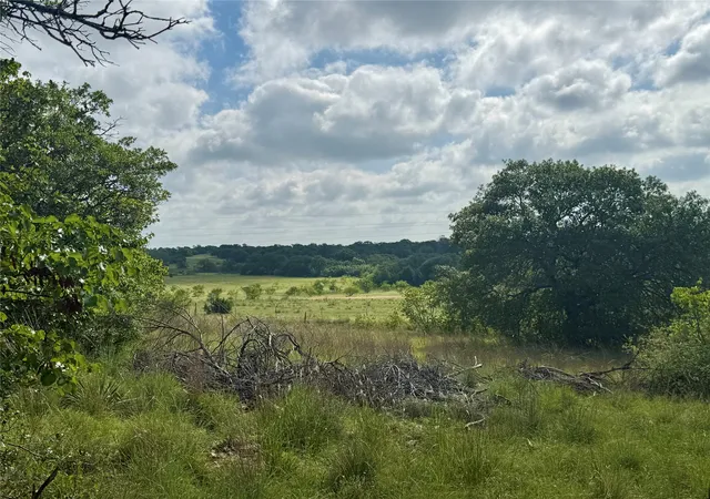 Photo 3 of Land for sale at 1315 County Road 419, Coleman, TX 76834 | MLS# 21324163 | Listing updated on 2026-07-08