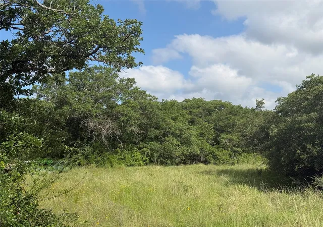 Photo 4 of Land for sale at 1315 County Road 419, Coleman, TX 76834 | MLS# 21324163 | Listing updated on 2026-07-08