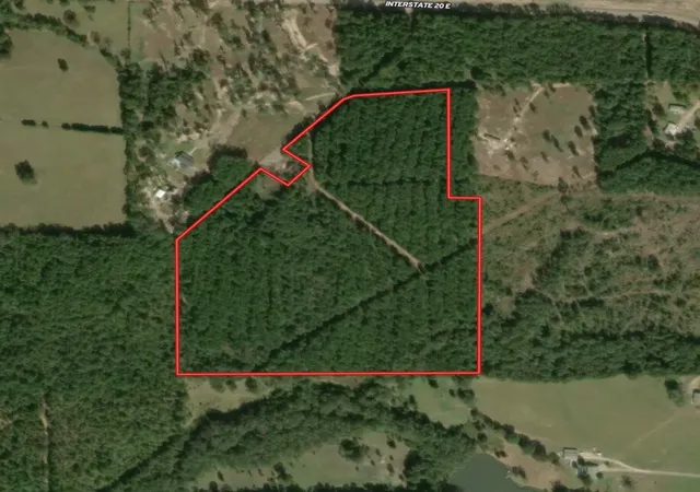 Homes for sale in Winona, TX | Tbd 42 Acres Cr 3116, Winona, TX 75792 | MLS# 21324063