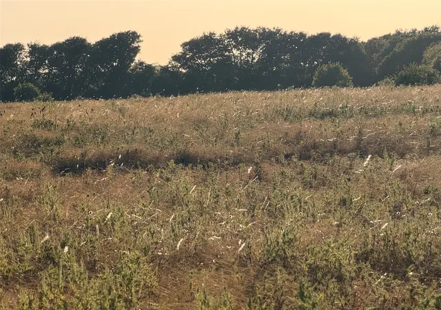 Photo 3 of Land for sale at Tbd N Hickory Rd, Krum, TX 76249 | MLS# 21324511 | Listing updated on 2026-08-20
