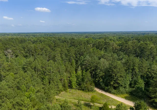 Photo 2 of Land for sale at 00 County Road 4117, Overton, TX 75684 | MLS# 21324837 | Listing updated on 2026-08-22
