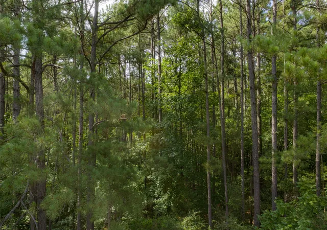 Photo 3 of Land for sale at 00 County Road 4117, Overton, TX 75684 | MLS# 21324837 | Listing updated on 2026-08-22