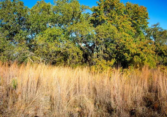 Photo 3 of Land for sale at Tbd Fm 45, San Saba, TX 76877 | MLS# 21325079 | Listing updated on 2026-07-27