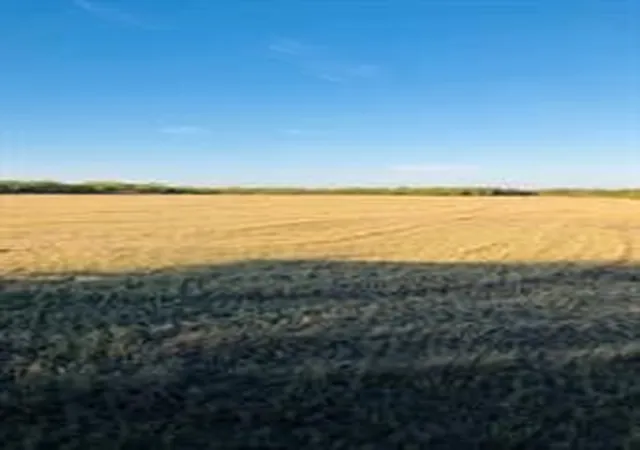 Land for sale at Tbd Farm Market 142, Lueders, TX 79533 | MLS# 21325261