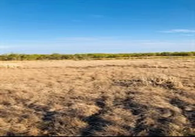 Photo 3 of Land for sale at Tbd Farm Market 142, Lueders, TX 79533 | MLS# 21325261 | Listing updated on 2026-08-18