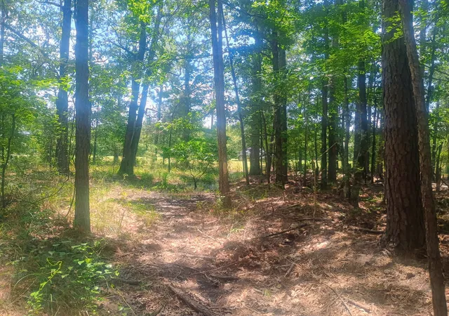Photo 1 of Land for sale at 0 Tbd, Benton, LA 71006 | MLS# 21324942 | Listing updated on 2026-07-09