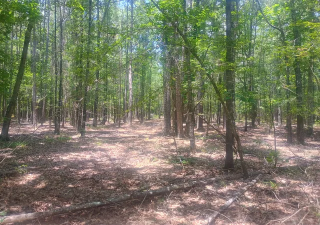 Photo 3 of Land for sale at 0 Tbd, Benton, LA 71006 | MLS# 21324942 | Listing updated on 2026-07-09