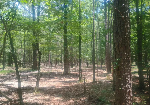 Photo 3 of Land for sale at 0 Tbd, Benton, LA 71006 | MLS# 21324942 | Listing updated on 2026-07-09