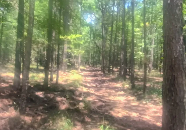 Photo 4 of Land for sale at 0 Tbd, Benton, LA 71006 | MLS# 21324942 | Listing updated on 2026-07-09