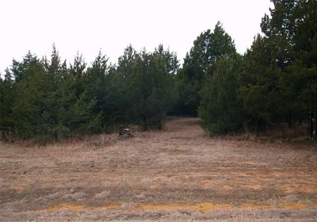 Photo 2 of Land for sale at 224 Barrington Cir, Gordonville, TX 76245 | MLS# 21325398 | Listing updated on 2026-07-10