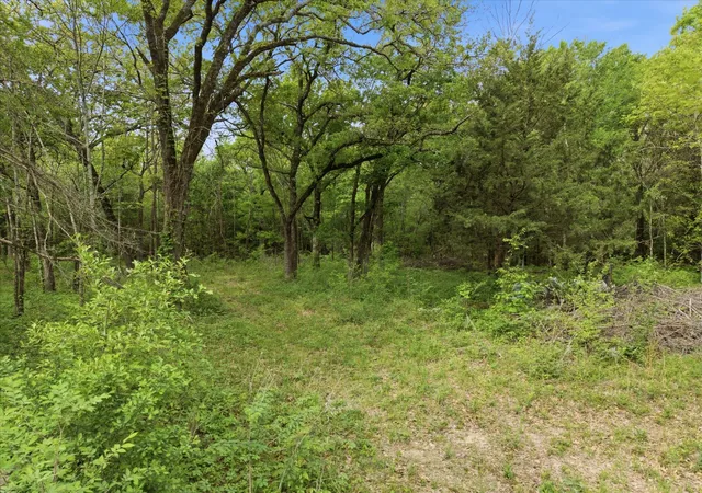 Photo 4 of Land for sale at 637 Vz County Road 3437, Wills Point, TX 75169 | MLS# 21325448 | Listing updated on 2026-09-01