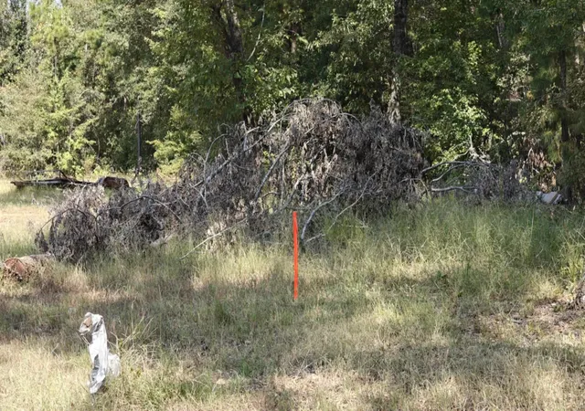Photo 3 of Land for sale at 14915 County Road 26, Tyler, TX 75707 | MLS# 21325620 | Listing updated on 2026-07-09