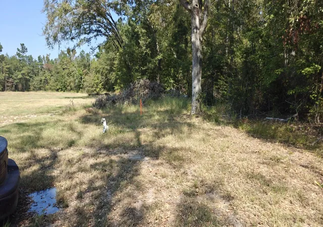 Photo 3 of Land for sale at 14915 County Road 26, Tyler, TX 75707 | MLS# 21325620 | Listing updated on 2026-07-09