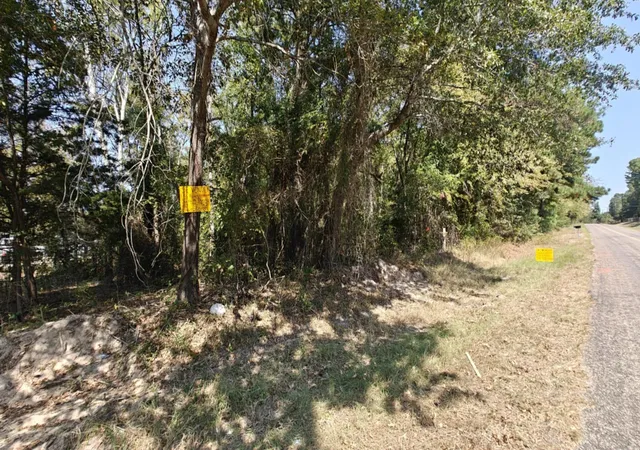 Photo 4 of Land for sale at 14915 County Road 26, Tyler, TX 75707 | MLS# 21325620 | Listing updated on 2026-07-09