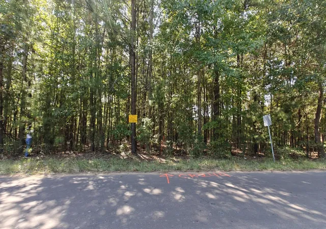 Photo 2 of Land for sale at 24068 County Road 244, Overton, TX 75684 | MLS# 21325697 | Listing updated on 2026-07-09