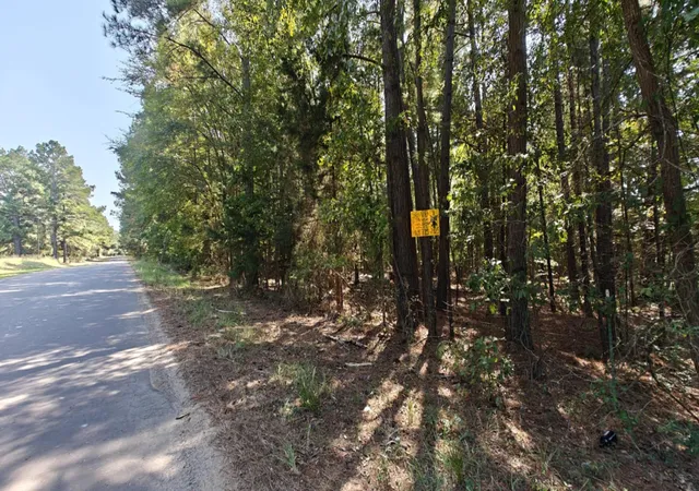 Photo 3 of Land for sale at 24068 County Road 244, Overton, TX 75684 | MLS# 21325697 | Listing updated on 2026-07-09