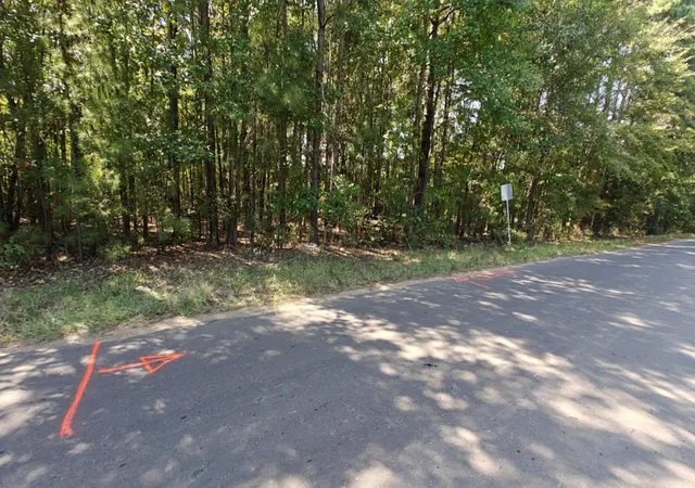 Photo 4 of Land for sale at 24068 County Road 244, Overton, TX 75684 | MLS# 21325697 | Listing updated on 2026-07-09