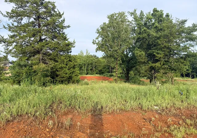 Photo 3 of Land for sale at 12335 Oak Grove Dr, Tyler, TX 75706 | MLS# 21325357 | Listing updated on 2026-08-22