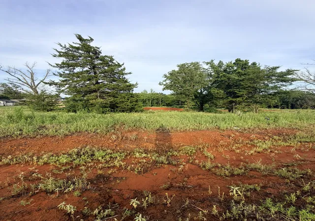 Photo 3 of Land for sale at 12335 Oak Grove Dr, Tyler, TX 75706 | MLS# 21325357 | Listing updated on 2026-08-22