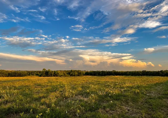 Photo 1 of Land for sale at Tract C2 1 County Road 1140, Celeste, TX 75423 | MLS# 21325100 | Listing updated on 2026-07-09