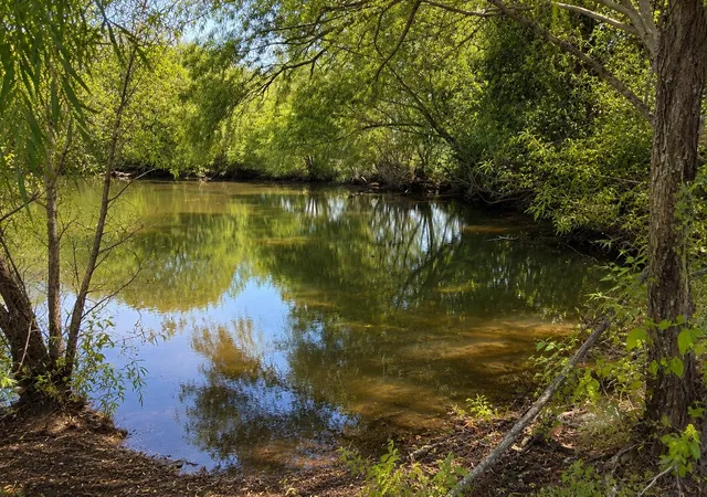 Photo 3 of Land for sale at Tract C2 1 County Road 1140, Celeste, TX 75423 | MLS# 21325100 | Listing updated on 2026-07-09