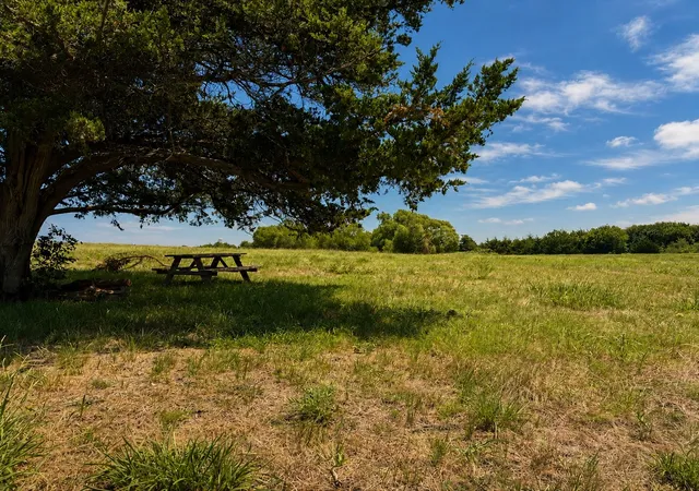 Photo 3 of Sale Pending at Tract C2-1 County Road 1140, Celeste, TX 75423 | MLS# 21325100 | Listing updated on 2026-10-05