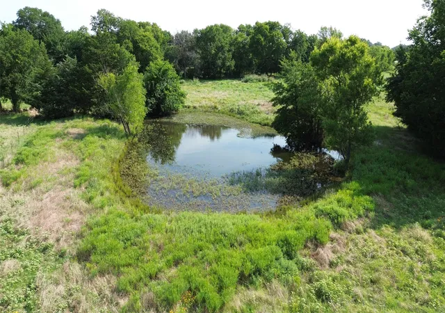Photo 3 of Land for sale at 4757 Farm Road 1528, Klondike, TX 75448 | MLS# 21324687 | Listing updated on 2026-10-02