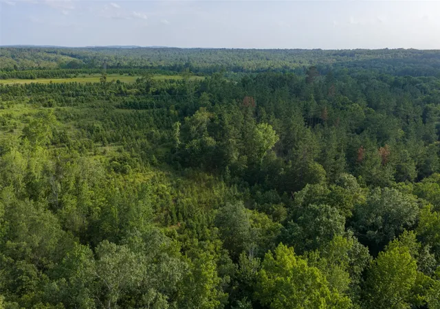 Photo 1 of Land for sale at 00 County Road 436, Laneville, TX 75667 | MLS# 21326431 | Listing updated on 2026-08-22