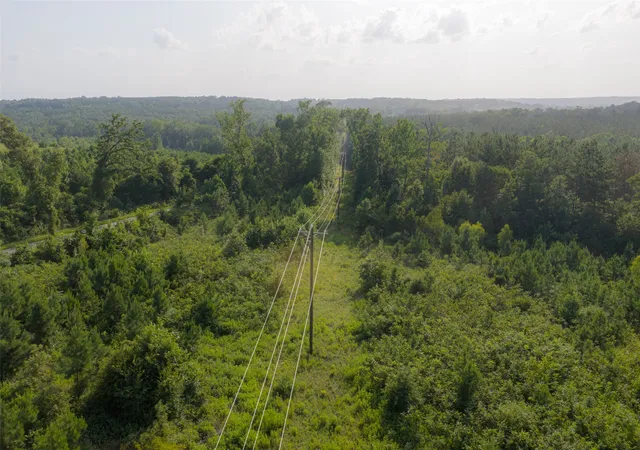 Photo 2 of Land for sale at 00 County Road 436, Laneville, TX 75667 | MLS# 21326431 | Listing updated on 2026-08-22