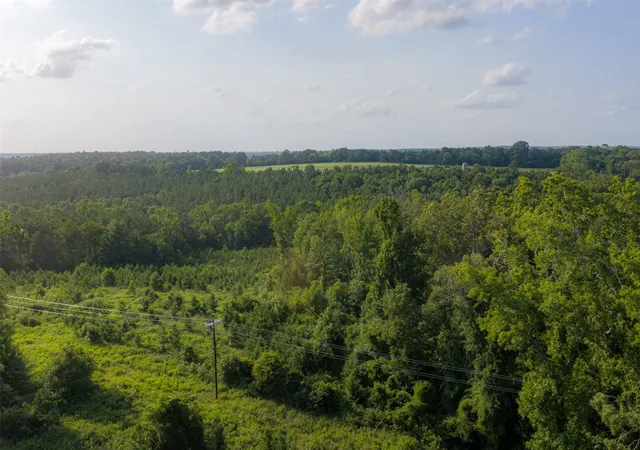 Photo 3 of Land for sale at 00 County Road 436, Laneville, TX 75667 | MLS# 21326431 | Listing updated on 2026-08-22