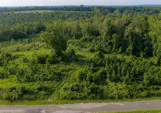 Photo 3 of Land for sale at 00 County Road 436, Laneville, TX 75667 | MLS# 21326431 | Listing updated on 2026-08-22