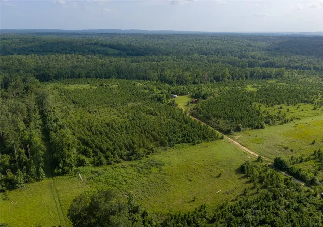 Photo 1 of Land for sale at 000 County Road 436, Laneville, TX 75667 | MLS# 21326496 | Listing updated on 2026-08-22