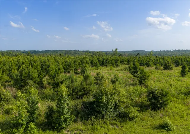 Photo 2 of Land for sale at 000 County Road 436, Laneville, TX 75667 | MLS# 21326496 | Listing updated on 2026-08-22