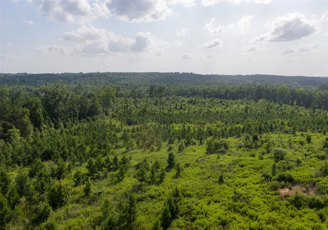 Photo 3 of Land for sale at 000 County Road 436, Laneville, TX 75667 | MLS# 21326496 | Listing updated on 2026-08-22