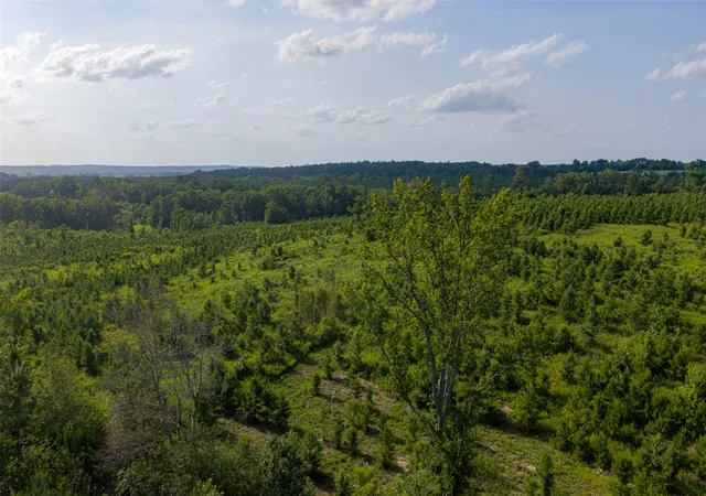 Photo 3 of Land for sale at 000 County Road 436, Laneville, TX 75667 | MLS# 21326496 | Listing updated on 2026-08-22