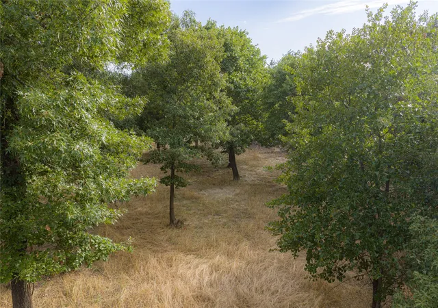 Photo 3 of Land for sale at 3350 Fm 1256, Eustace, TX 75124 | MLS# 21326541 | Listing updated on 2026-08-22