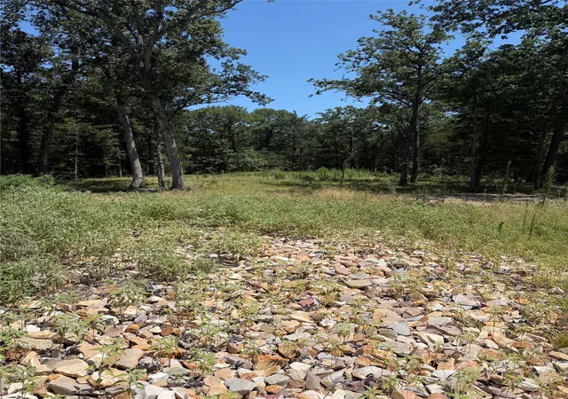 Photo 2 of Land for sale at 7300 Fm 1567, Lone Oak, TX 75453 | MLS# 21326625 | Listing updated on 2026-08-19
