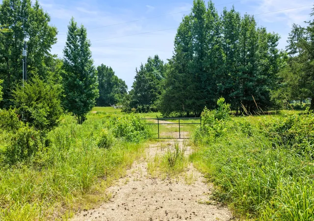 Photo 2 of Land for sale at Tbd Sw Cr 3010, Mount Vernon, TX 75457 | MLS# 21326753 | Listing updated on 2026-07-10