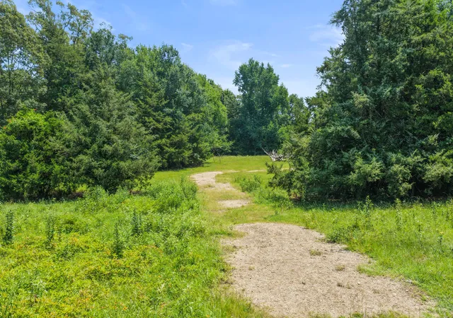 Photo 3 of Land for sale at Tbd Sw Cr 3010, Mount Vernon, TX 75457 | MLS# 21326753 | Listing updated on 2026-07-10
