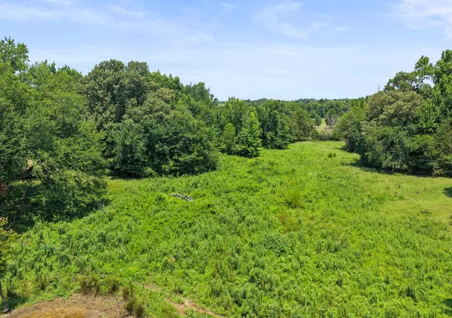 Photo 4 of Land for sale at Tbd Sw Cr 3010, Mount Vernon, TX 75457 | MLS# 21326753 | Listing updated on 2026-07-10
