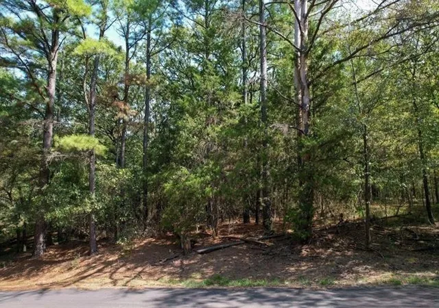 Photo 4 of Land for sale at Lot 49 Angelina Dr, Mount Vernon, TX 75457 | MLS# 21326576 | Listing updated on 2026-07-10