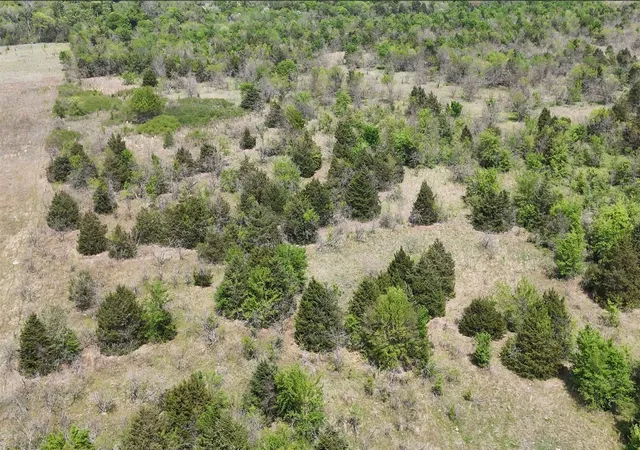Photo 2 of Land for sale at Tbd Fcr 980, Mexia, TX 76667 | MLS# 21326941 | Listing updated on 2026-07-10