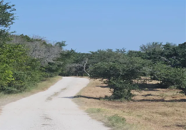 34th image of 1664 Fm 1713, Morgan, TX 76671 | MLS# 21316878