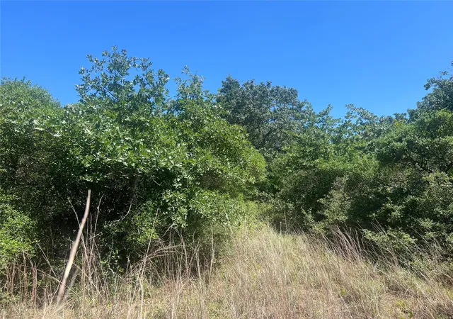 Photo 2 of Land for sale at 4500 Pr, Normangee, TX 77871 | MLS# 21327539 | Listing updated on 2026-07-10